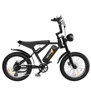 BK29M Retro Electric Bike