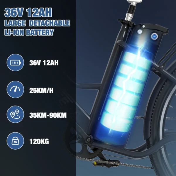 RK8S E-bike With bag With RCB logo on it - Image 6