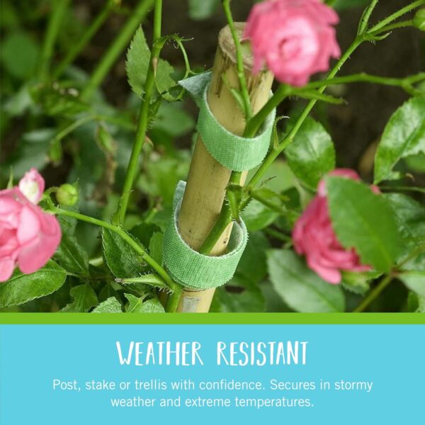 VELCRO Brand 90648 ONE-WRAP Garden Ties | Plant Supports for Effective Growing | Strong Grips are Reusable and Adjustable | Cut-to-Length, 75 ft x 1/2 in, Green-Recycled Plastic - Image 2