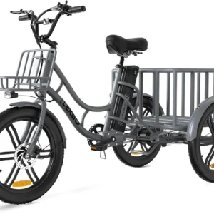 ELEKGo EGO03 Lasten-E-Trike 500W 48V 18Ah, LCD-Display, 20x3.0 Reifen