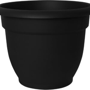 Bloem 20-56908 Fiskars 8 Inch Ariana with Self-Watering Grid, Black, 8"
