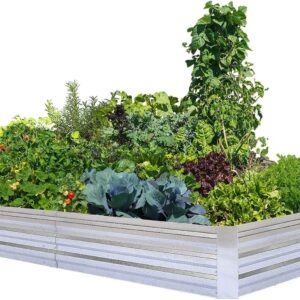 FOYUEE Galvanized Raised Garden Beds for Vegetables Large Metal Planter Box Steel Kit Flower Herb, 8x4x1ft