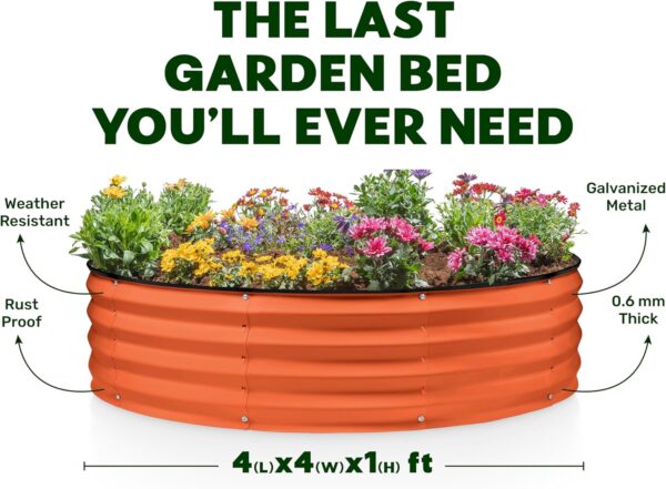 Round Galvanized Raised Garden Bed // 4×4×1 ft (2-Pack) Galvanized Raised Garden Beds Outdoor for Gardening, Vegetables, Flowers // Tool-Free Assembly Patent Pending Round Planter (Orange) - Image 2