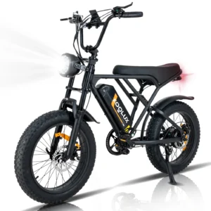 KOOLUX BK29 Electric Off Road Bike