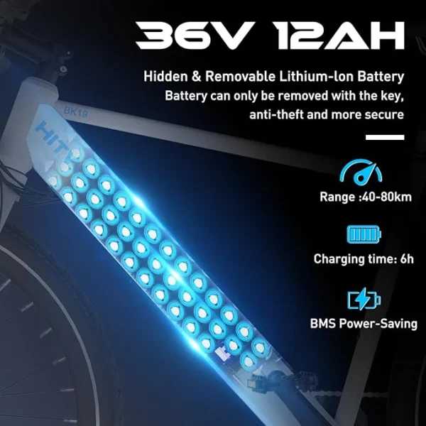 BK19 Road Electric Bike - Image 5