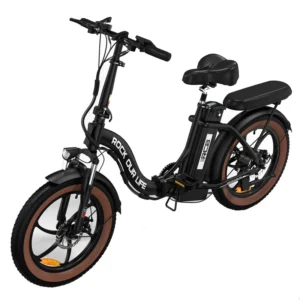 RK6S Folding E-bike